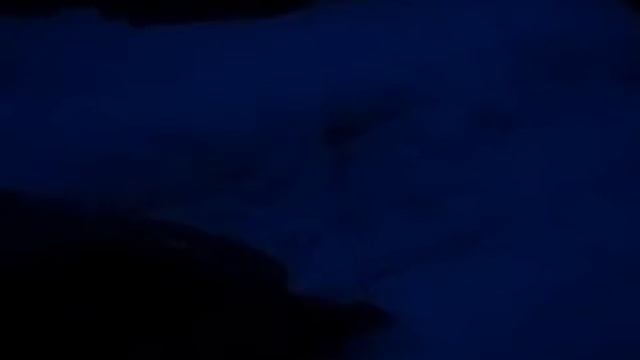 Оно живое смотреть онлайн