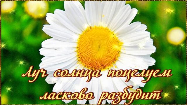 Доброго утра! Удачного дня! Солнечный и нежный Привет от меня!?????? смотреть онлайн