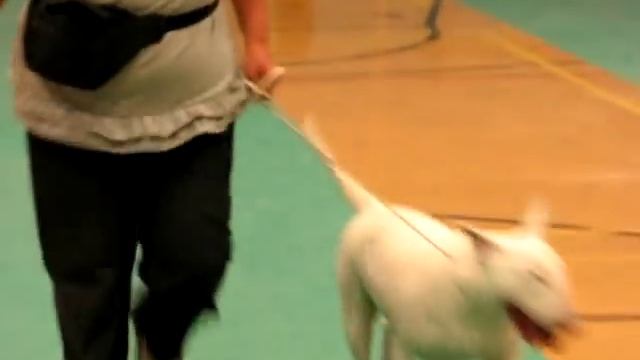 Tulsadoom Powder Monkey смотреть онлайн