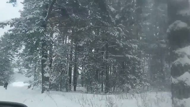 Зимняя сказка природы смотреть онлайн