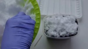 СЕЕМ В ЯНВАРЕ!Как вырастить ПРИМУЛУ из СЕМЯН! СЕКРЕТ в  ПРАВИЛЬНОЙ СТРАТИФИКАЦИИ.mp4