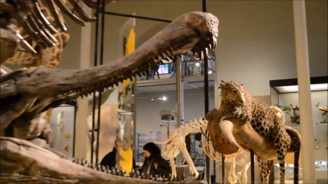 Ksenia UK. ДЕНЬ 1. ШОТЛАНДИЯ. ЭДИНБУРГ. ТУР ПО ГОРОДУ. МУЗЕЙ ШОТЛАНДИИ. SCOTLAND. EDINBURGH. DAY 1. смотреть онлайн