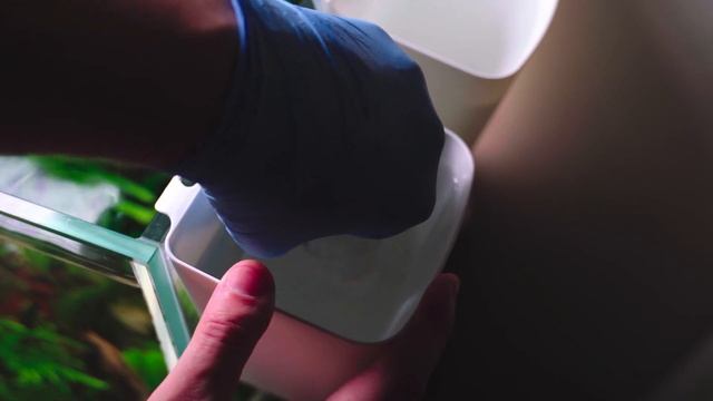 Чистка CO2 диффузора. Легко и просто / Easy CO2 diffuser cleaning смотреть онлайн