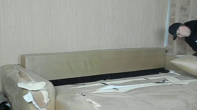 Как Марас Шакур сломал диван за 60 001 рублей