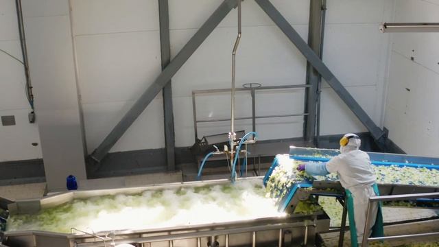 Завод по переработке салатов в ОЭЗ «Алабуга». смотреть онлайн