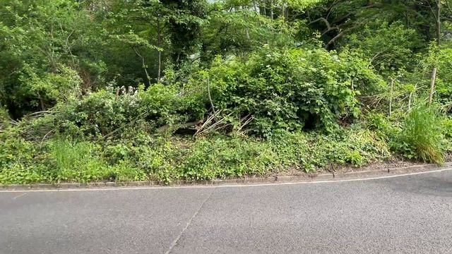 First Look at The Specialized Allez Disc Road Bike | Sigma Sports смотреть онлайн