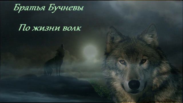 По жизни волк смотреть онлайн