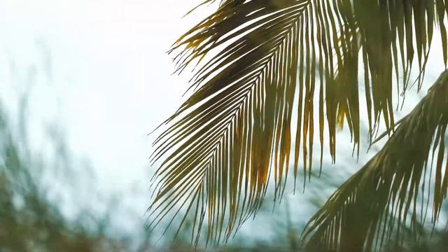Alpha Wave Study Music - 20 minutes Focus & Memory - Zen Meditation смотреть онлайн