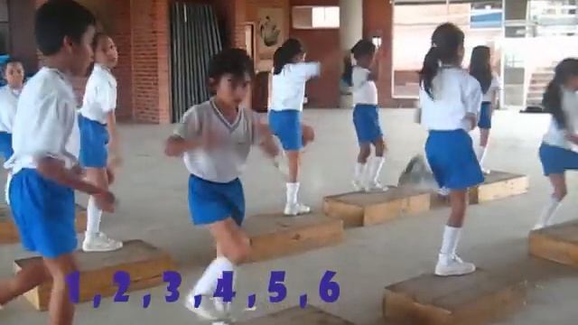 Planeacion de dos sesiones de Aerobicos en Step смотреть онлайн