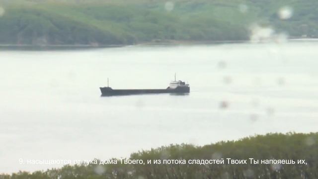 Место из Библии. Наши провозглашения. Псалом 35:6-13 смотреть онлайн