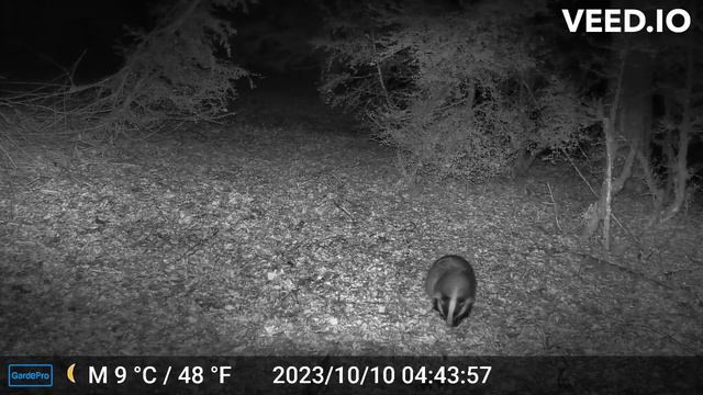 Azkonarra, Auritz (Nafarroa). смотреть онлайн