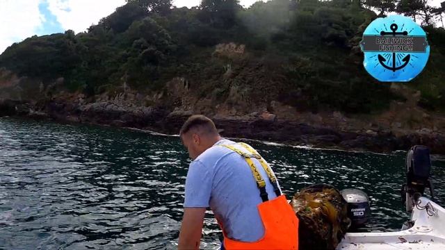 COLOSSAL CRABS! CASTLE UP CLOSE , PARADISE ISLAND , CRAB PICKING TUTORIAL #fyp #crab #subscribe смотреть онлайн
