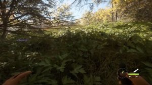 theHunter Call of the Wild™ обзор игра