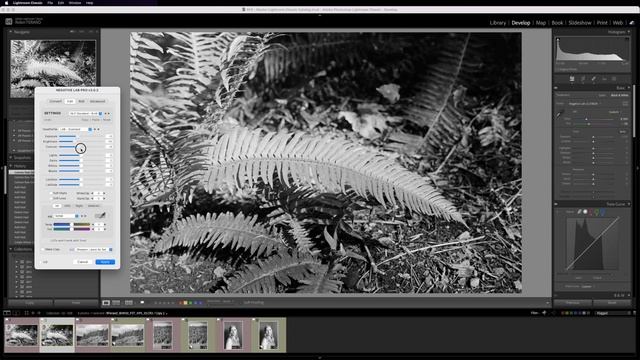WALKTHROUGH - How I edit my black and white negatives with Lightroom Classic (Part 5) смотреть онлайн