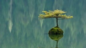 Медитация релаксация. Ошо - Разговор с телом предназначена для решения возможных проблем с телом