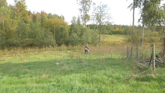 Why I Need A Brush Cutter When Mob Grazing смотреть онлайн