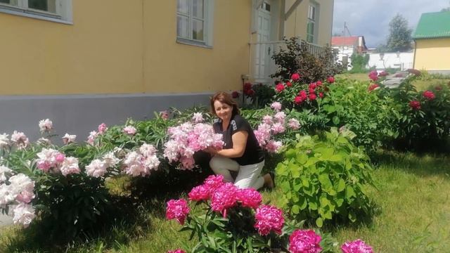 Ирочка! С Днем Рождения! смотреть онлайн