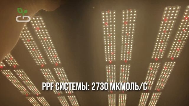 #29 Обзор светильника для гроубокса X1 PRO от Just Grow | GrowBrothers смотреть онлайн