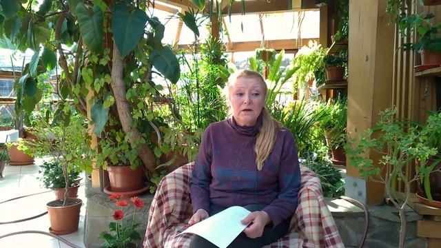 Почему сеянцы останавливаются в росте? Спросите Ольгу Борисовну №6. смотреть онлайн