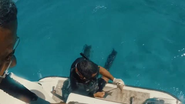 Рыбалка на Кубе. Ловим барракуд, кушаем омаров. caribe beach смотреть онлайн