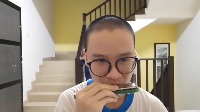 Memories Maroon 5 harmonica cover (Bye 2019 Hi 2020) смотреть онлайн