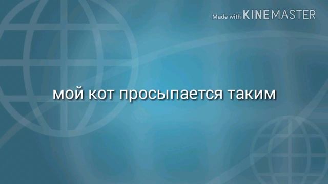 Что с моим котом?