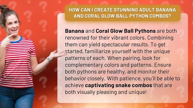 How Can I Create Stunning Adult Banana and Coral Glow Ball Python Combos? смотреть онлайн