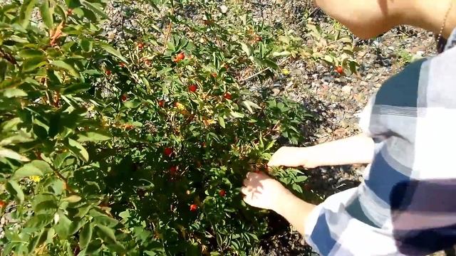 [Муз. Ролик] Прогулка на байдарке с женой | Красивая попка | ПВД | Сплав на байдарке | смотреть онлайн