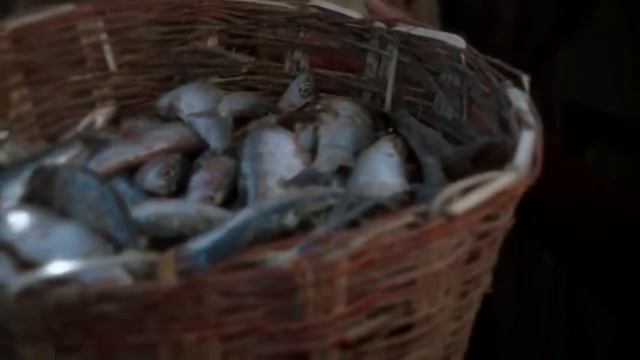 1 Ты достоин принять всю честь Иисус песня смотреть онлайн