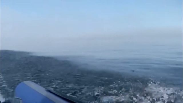 Дикий Байкал 2021 :: небольшой водный поход на моторной лодке, тайга, рыбалка смотреть онлайн