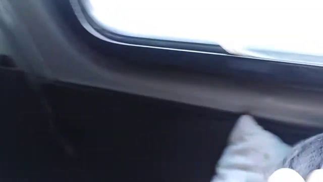 Едем на Алтай 🌿1часть смотреть онлайн