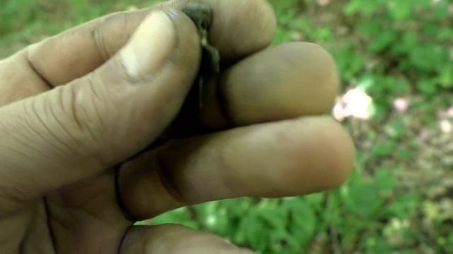 ЧЕРЕЗ БОЛОТО НАХОДКИ РАДУЮТ смотреть онлайн