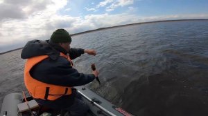 Весенний жор щуки. Ловля щуки на спиннинг. Крупный силикон. Рыбалка на Ладоге.