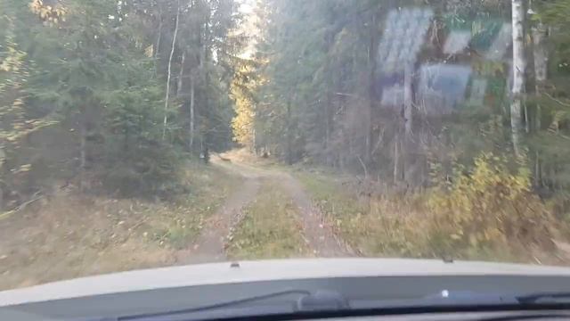 Отдых в Каменногорске !!! РЫБАЛКА, ГРИБЫ, СВЕЖИЙ ВОЗДУХ !!! смотреть онлайн