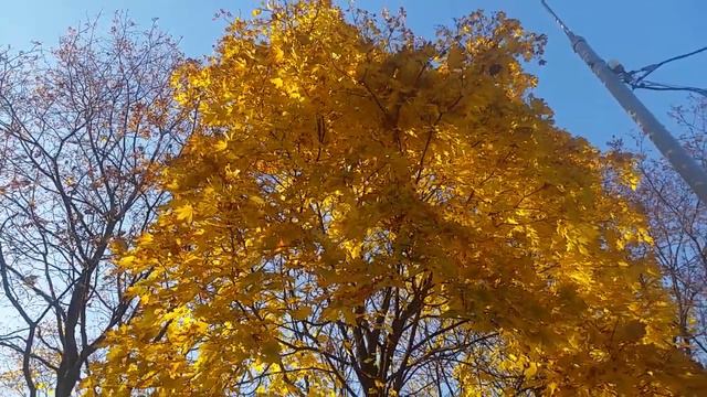 Вот она магия уходящего воскресенье 10 10 21 года смотреть онлайн