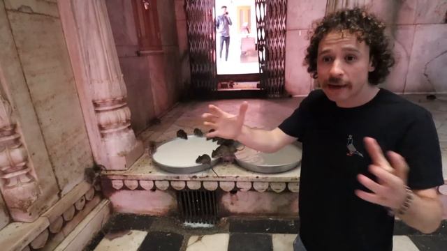 Visité el templo sagrado de las ratas en la India... смотреть онлайн