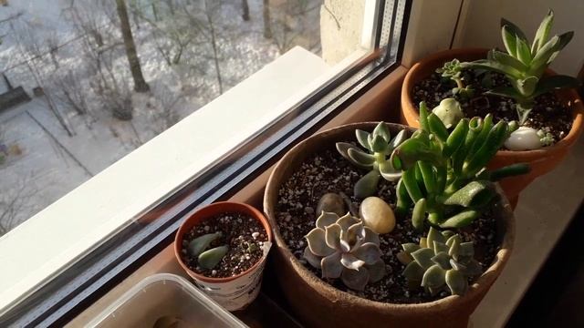 Цвет настроения белый/Готовлюсь к дачному сезону/Перекраска/Новые идеи смотреть онлайн