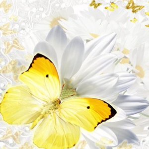 Именины Наталии -Натальи ? Поздравление и пожелания