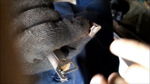 Распорная планка с регулятором зазора, заднего тормозного механизма Лада-Ларгус.