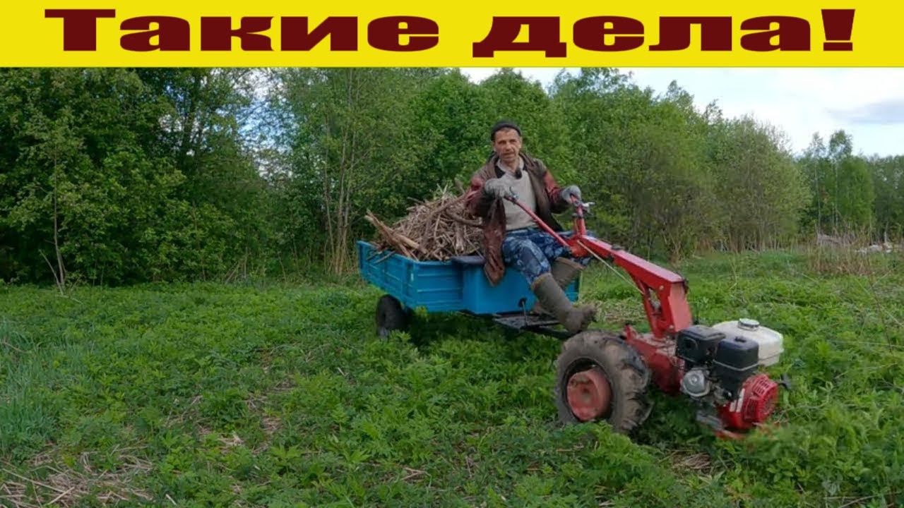 Расширяю пастбище пастбище, утренняя дойка, с огородом все! Жизнь в деревне! смотреть онлайн