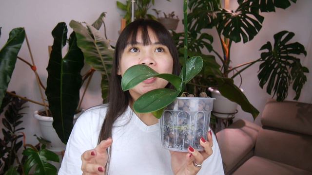 🌟PLANT HAUL Of Common And Uncommon Plants! 🌟 │January 2023 Plant Haul 🌸