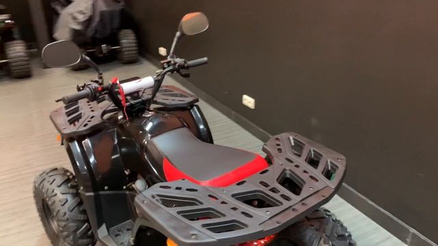 Квадроцикл Bison Kids 125 смотреть онлайн