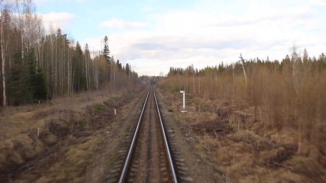 СМОТРИМ НА КАРЕЛИЮ ИЗ ПОЕЗДА