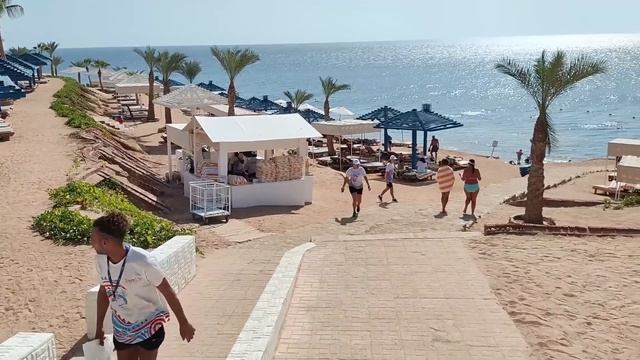 Grand Oasis Resort 4  Шарм эль Шейх  Египет 2022г. с 3 -10 ноября.