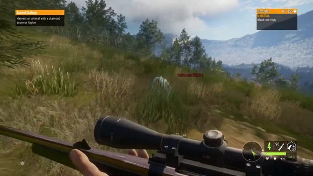 Shooting Pretend Animals Poorly - The Hunter: Call of the Wild (Silver Ridge Peaks) {Part 1} смотреть онлайн