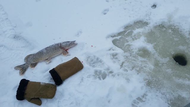 Неман (с Литовской стороны) смотреть онлайн