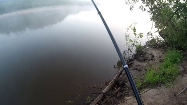 Лещ Летом. Рыбалка утром на реке Кемь. #2021 смотреть онлайн