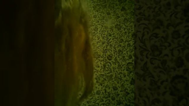 обзор на циркуль и урок на циркуль смотреть онлайн