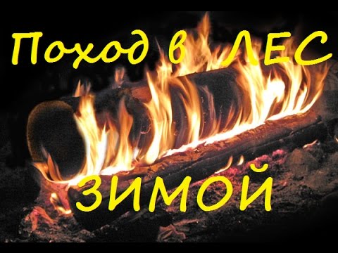 один в зимнем лесу ( Ночевка) смотреть онлайн