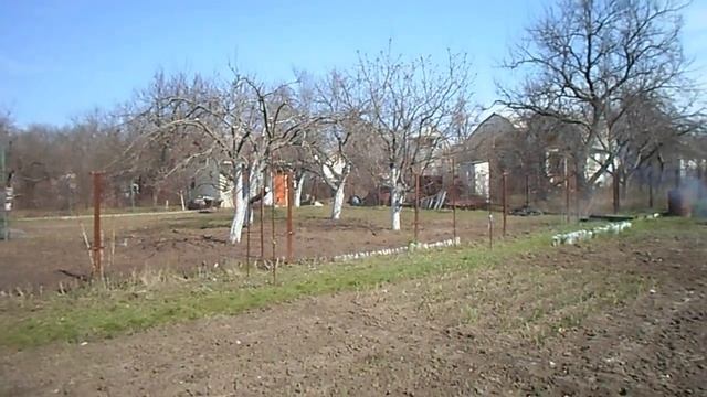 14 апреля на даче.Обрезка вымерзших роз. смотреть онлайн